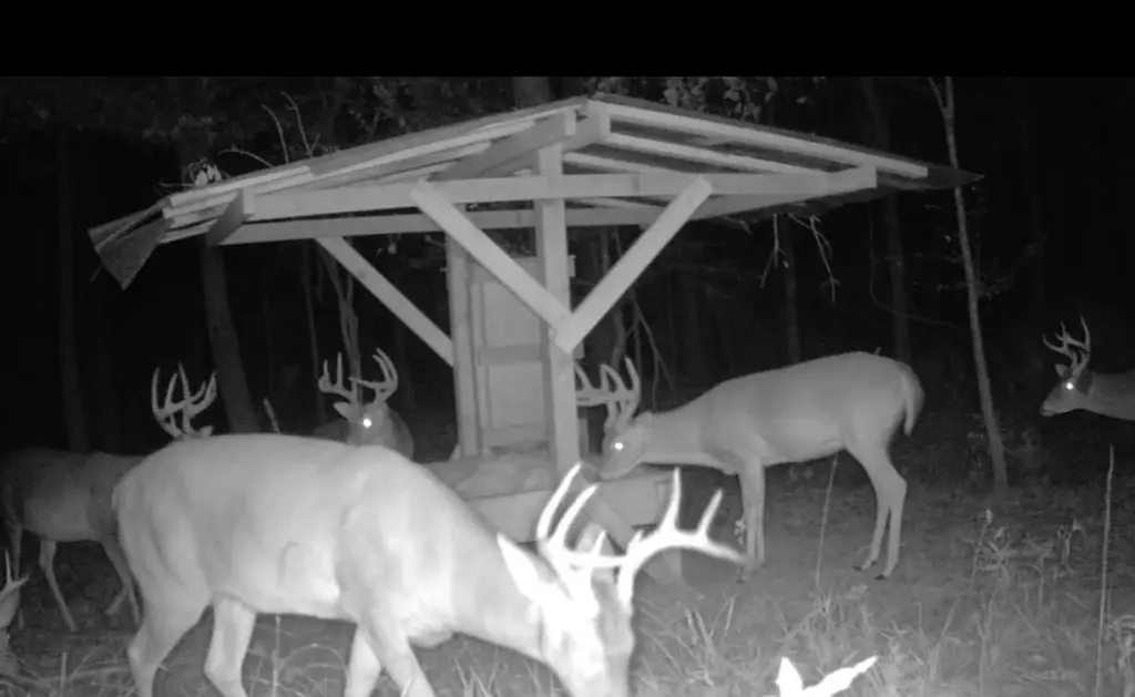Picture 2