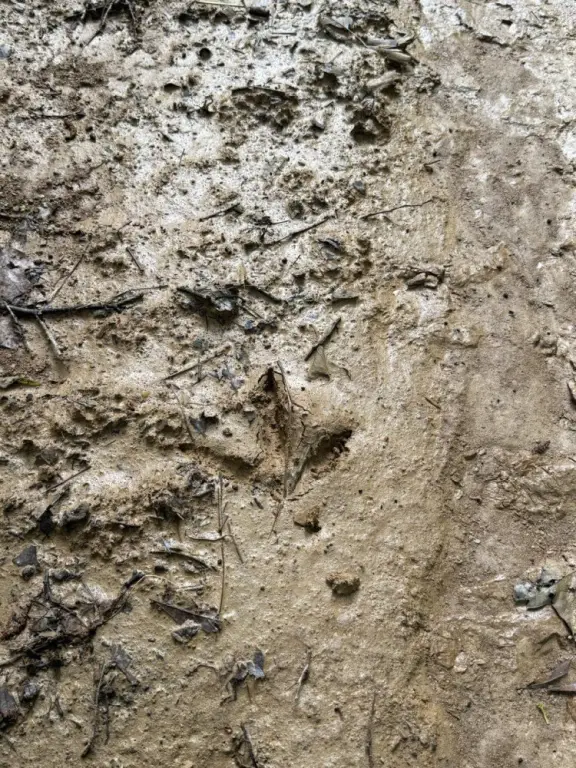 Picture 29