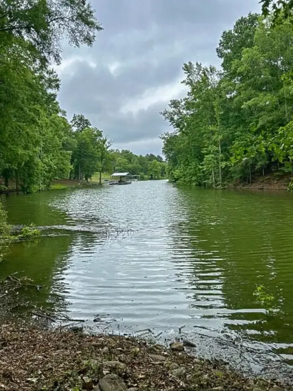 Picture 27