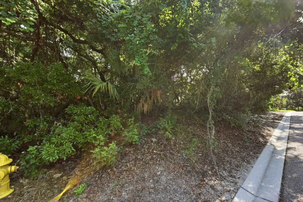 Picture 14