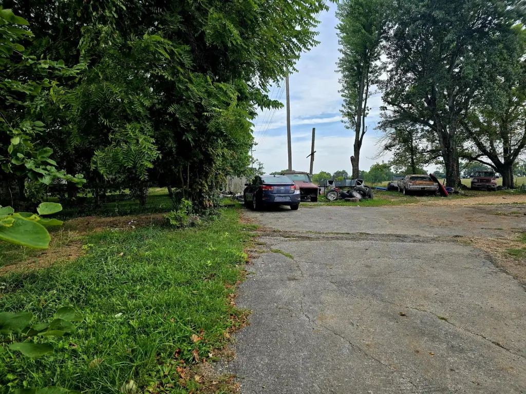 Picture 6