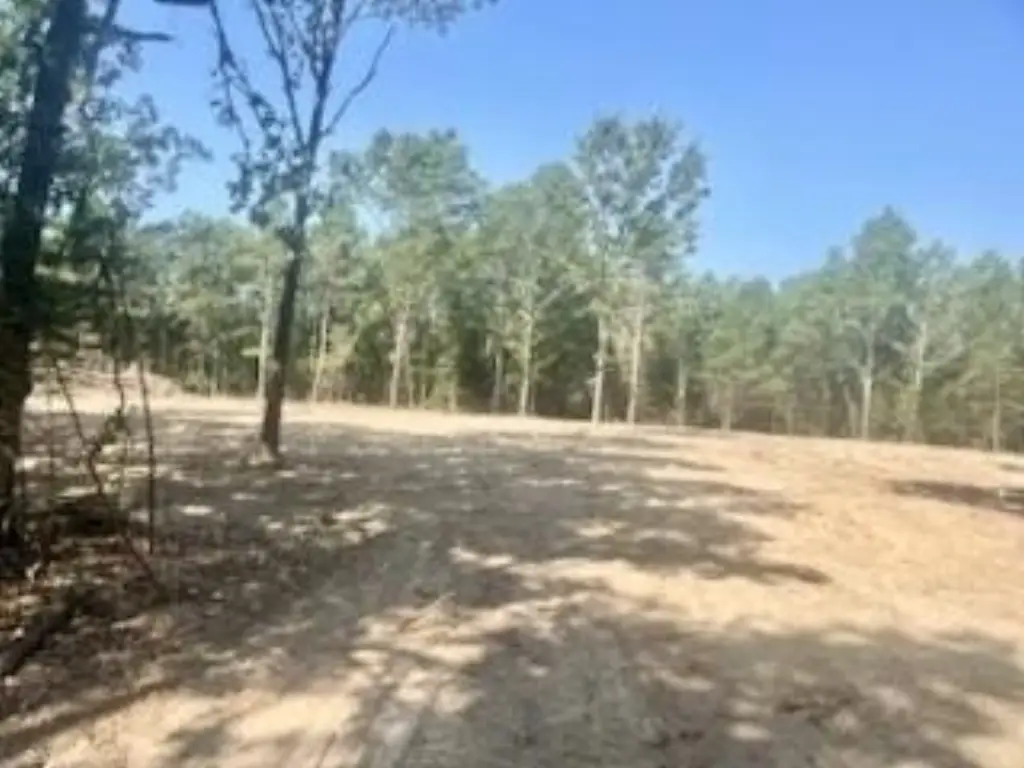 Picture 4