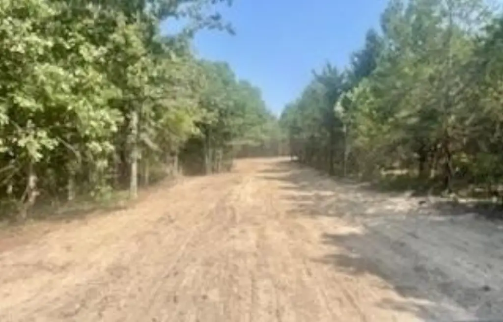 Picture 2