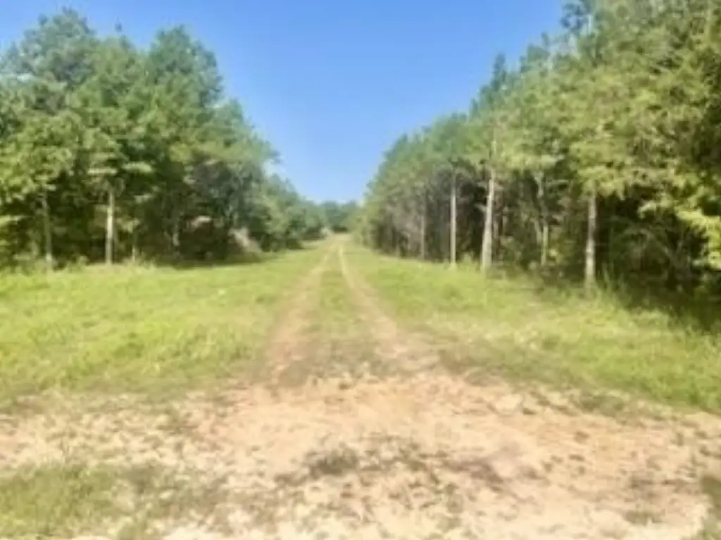 Picture 3
