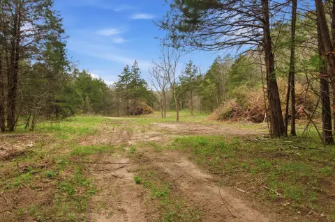 Wooded Recreational Acreage Tract