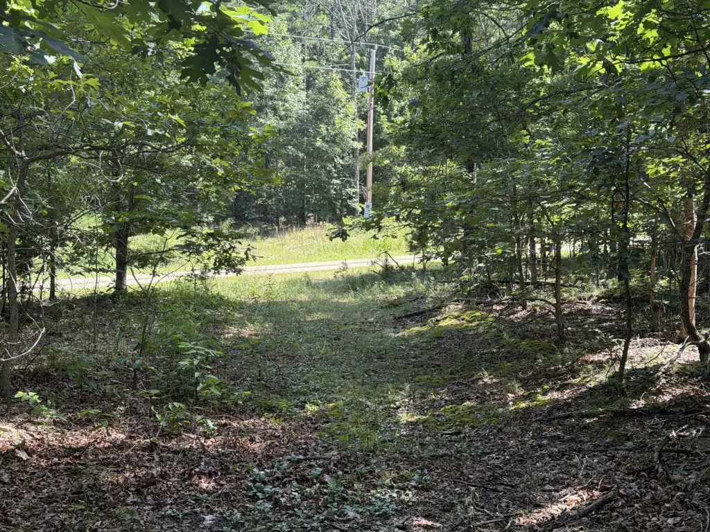 Picture 2