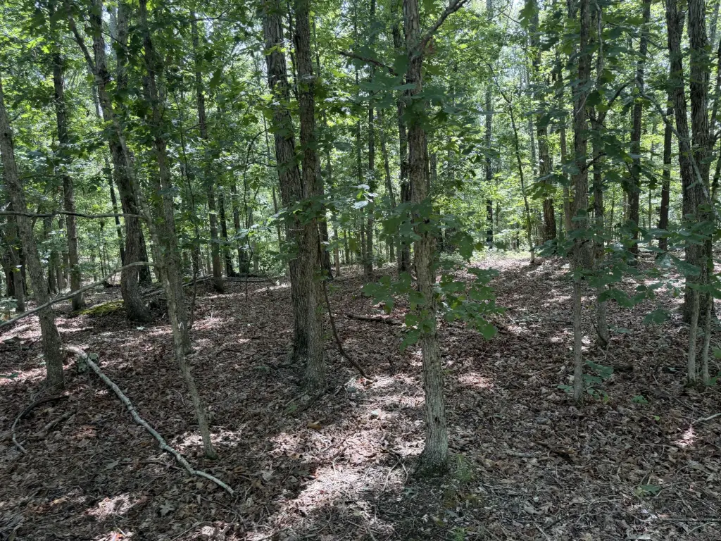 Picture 14