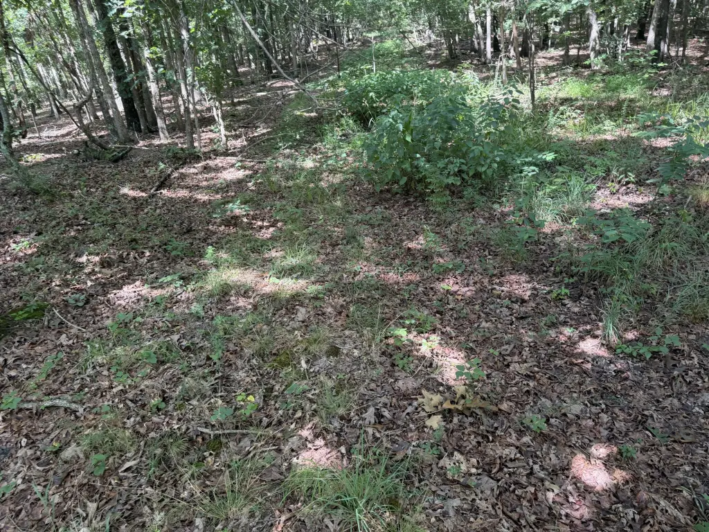Picture 17