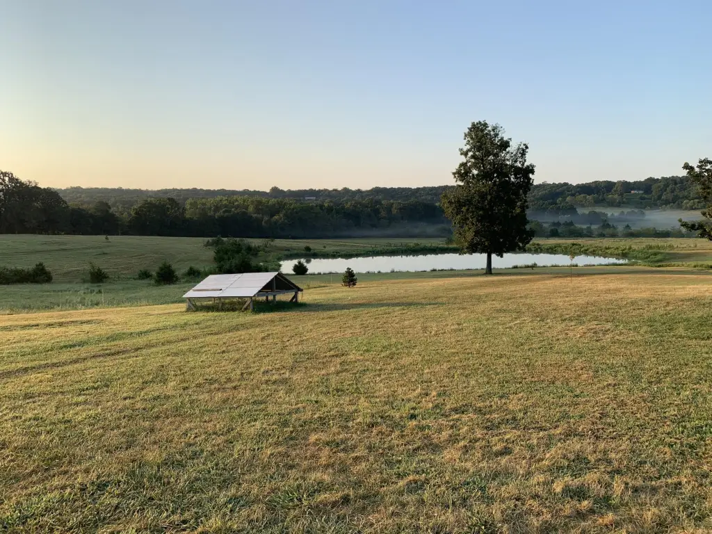 Picture 30