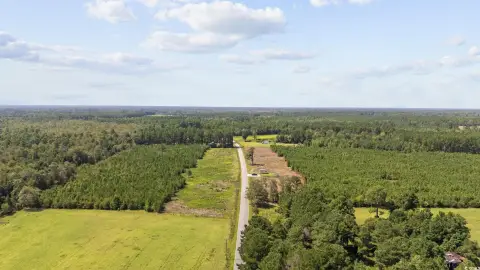 Nichols, SC Acreage For Sale