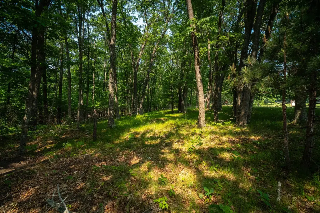 Picture 21