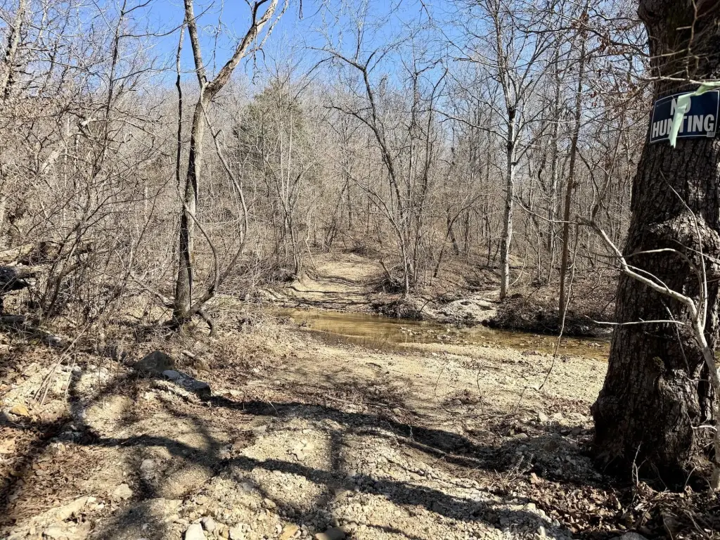 Picture 76