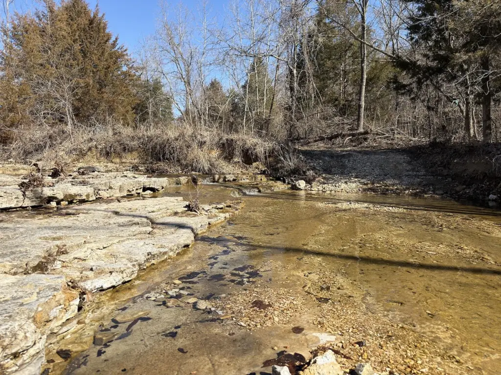 Picture 14