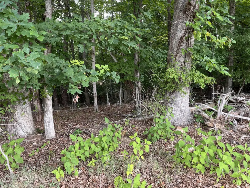 Picture 2