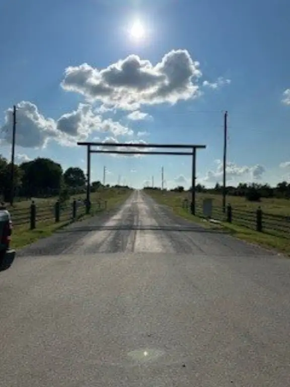 Picture 11