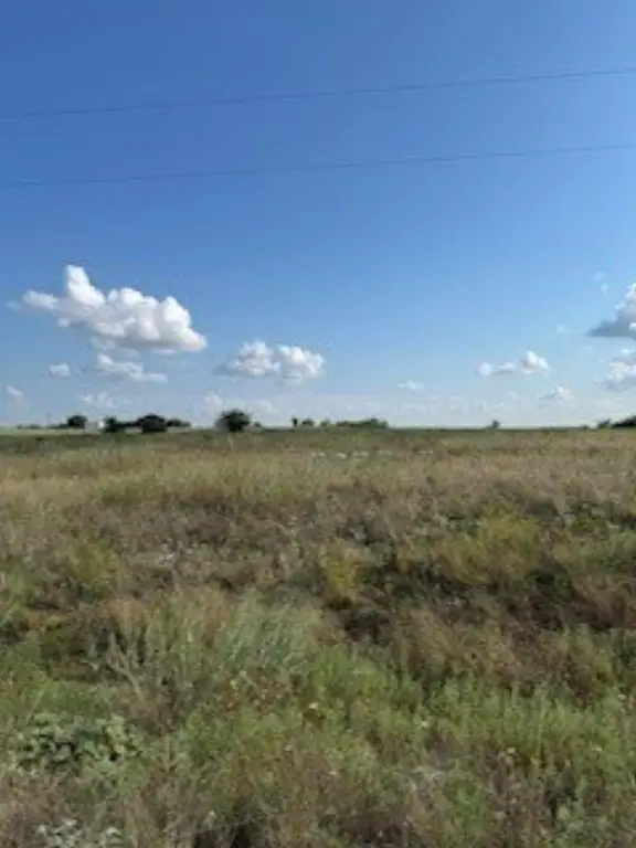 Picture 35