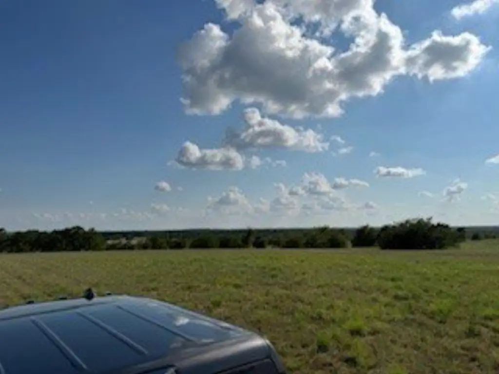Picture 15