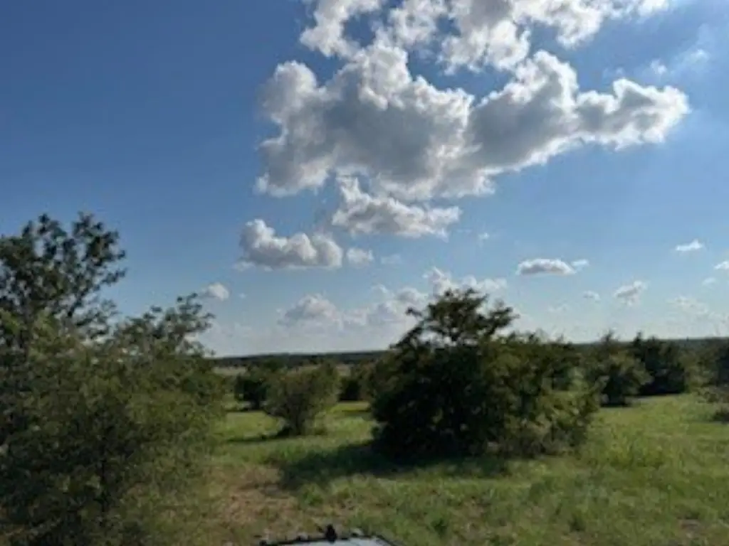 Picture 23