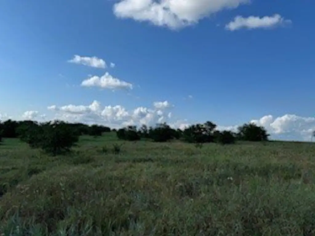 Picture 29