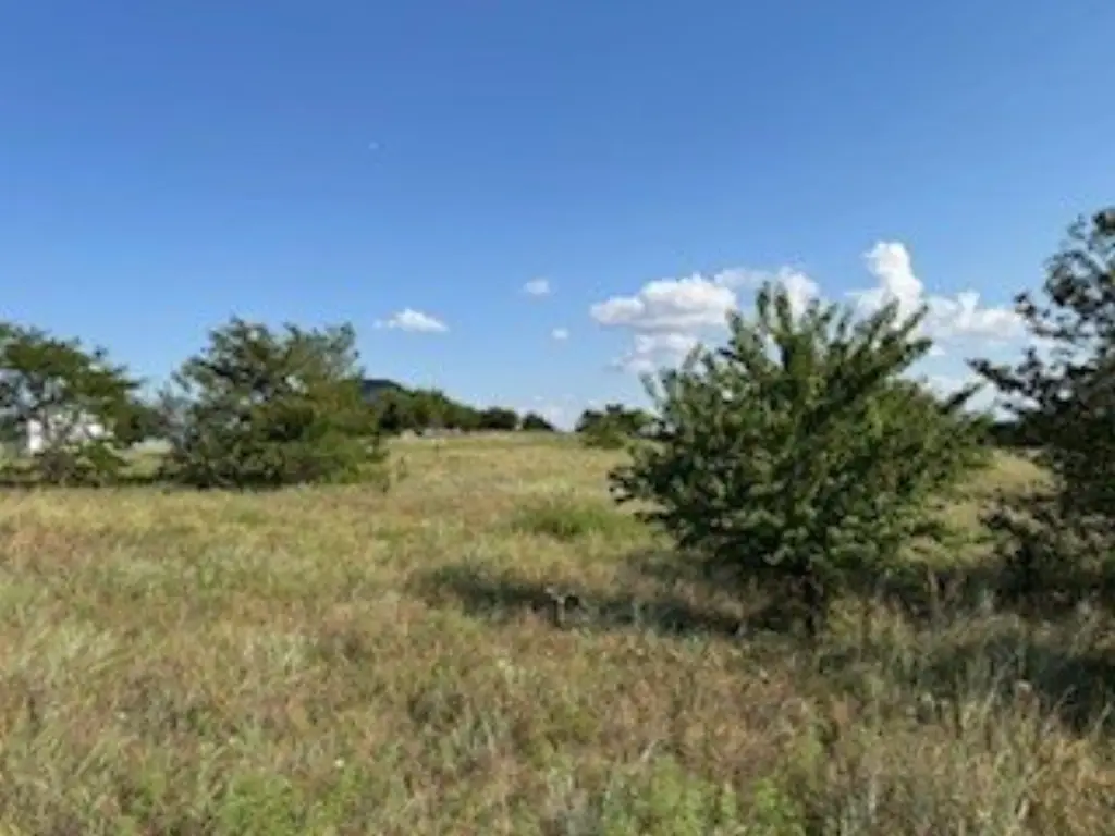 Picture 22