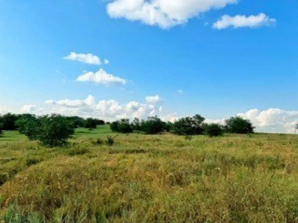 Picture 37