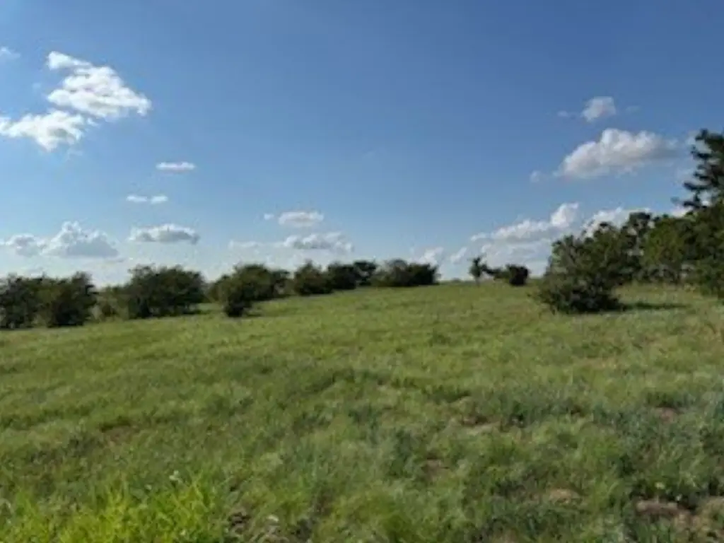 Picture 21