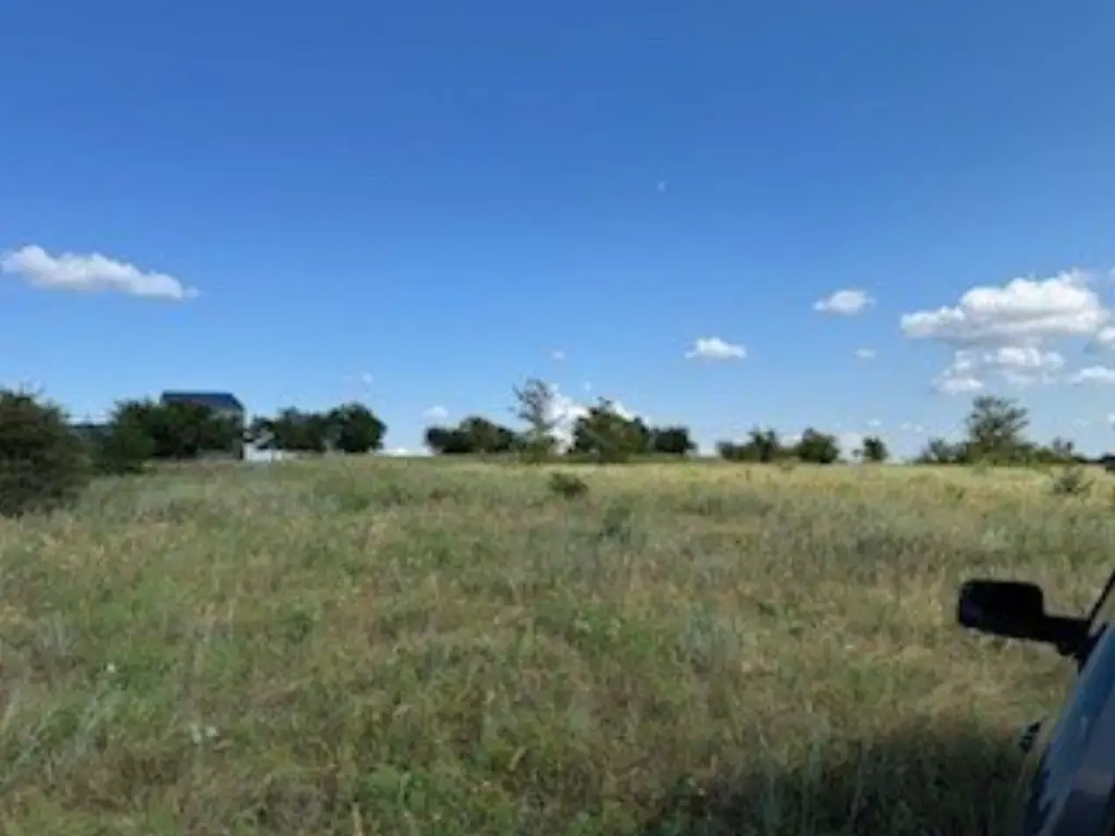Picture 27