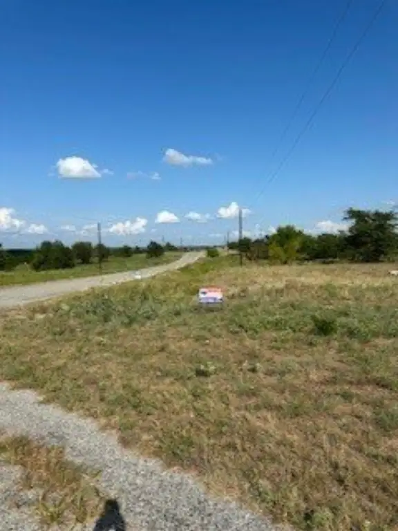 Picture 7
