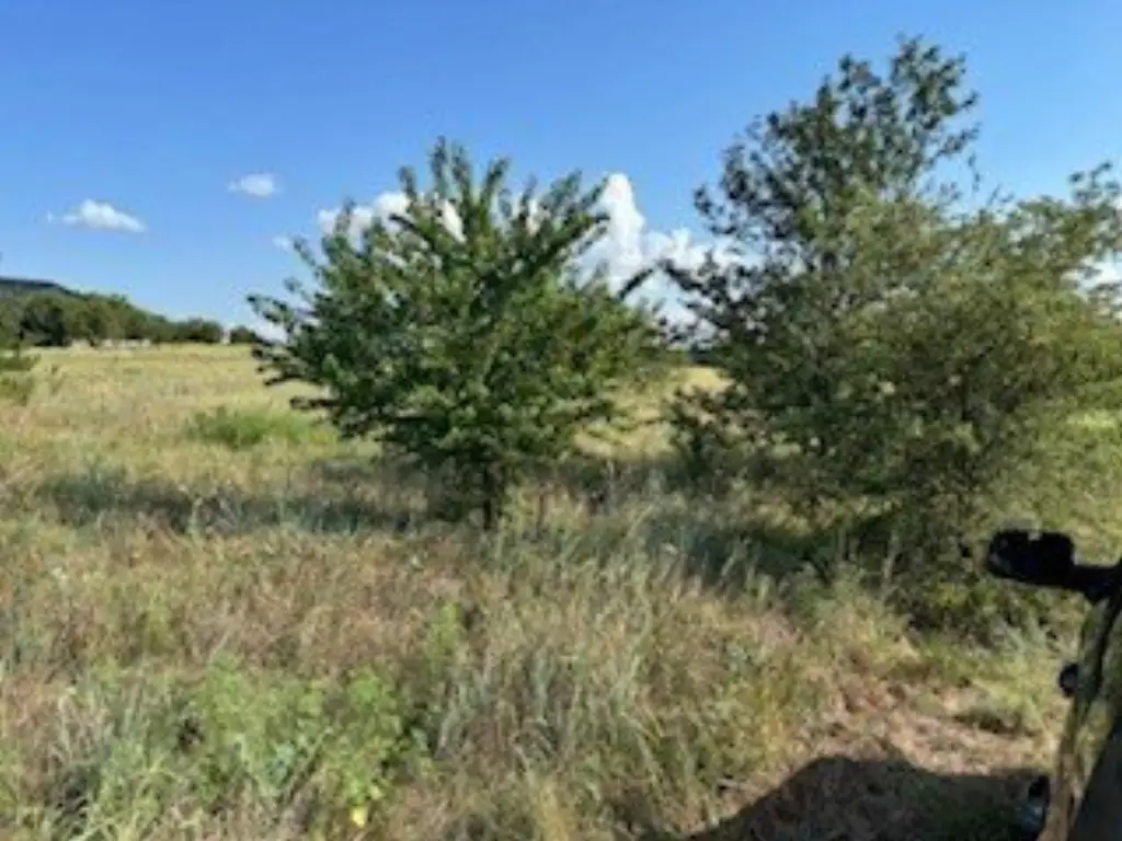 Picture 25