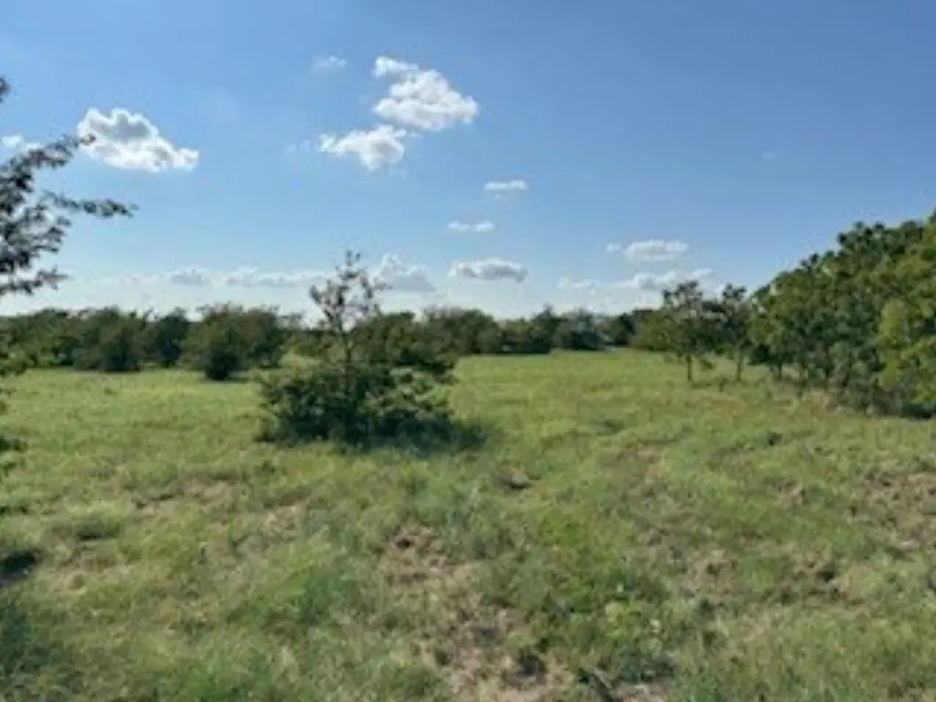 Picture 19