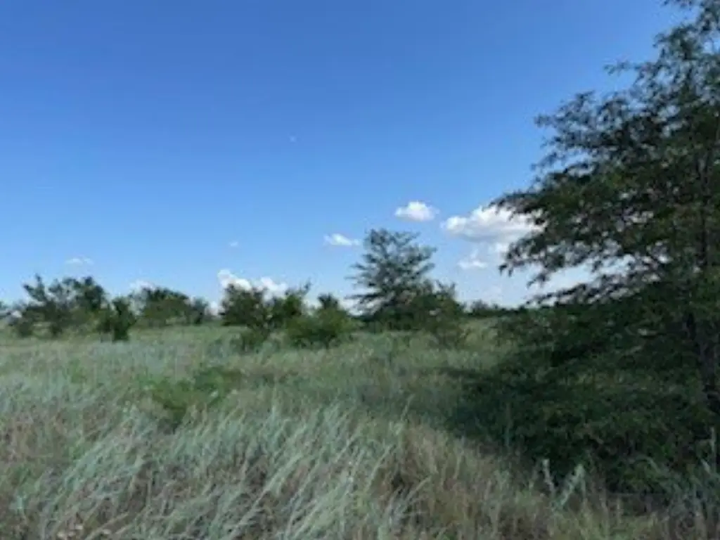Picture 31