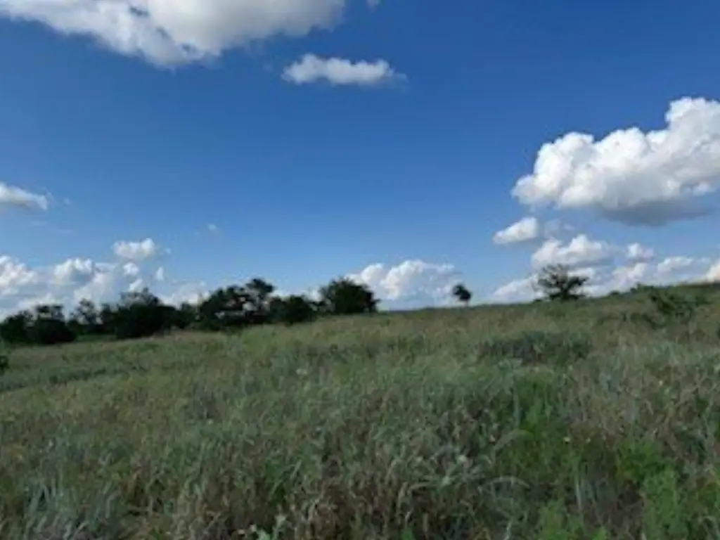 Picture 28
