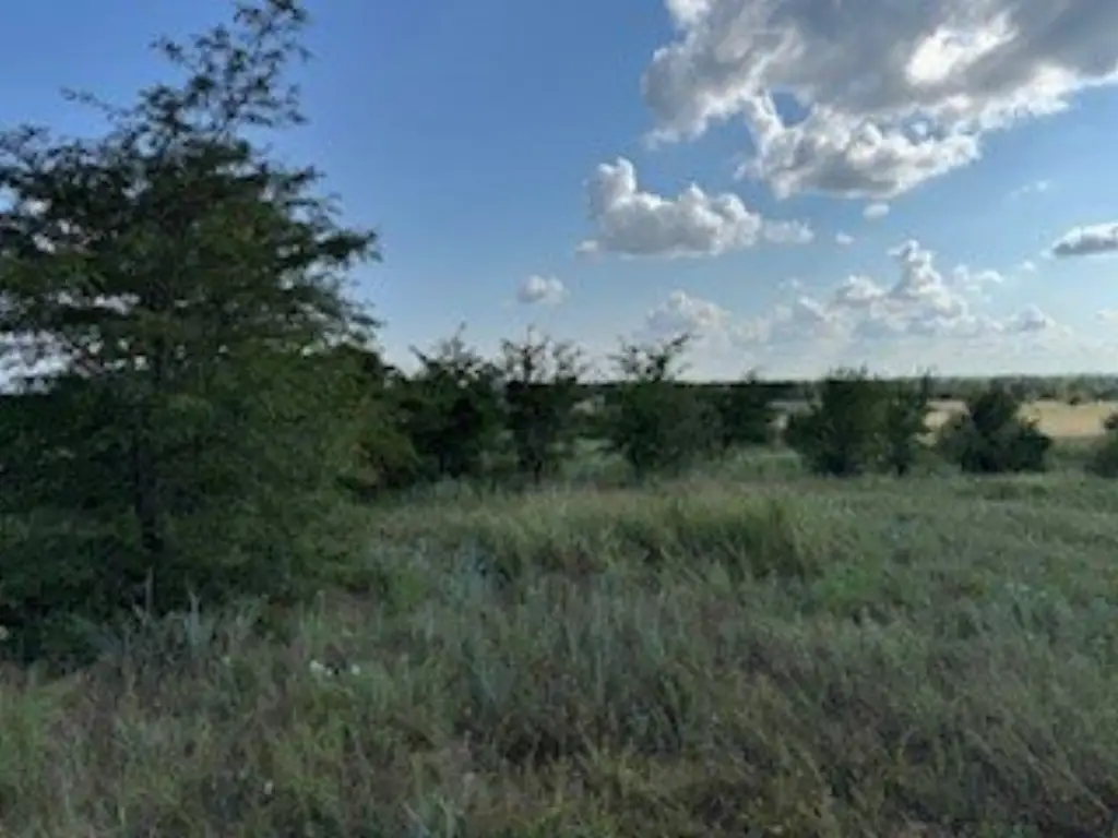 Picture 30