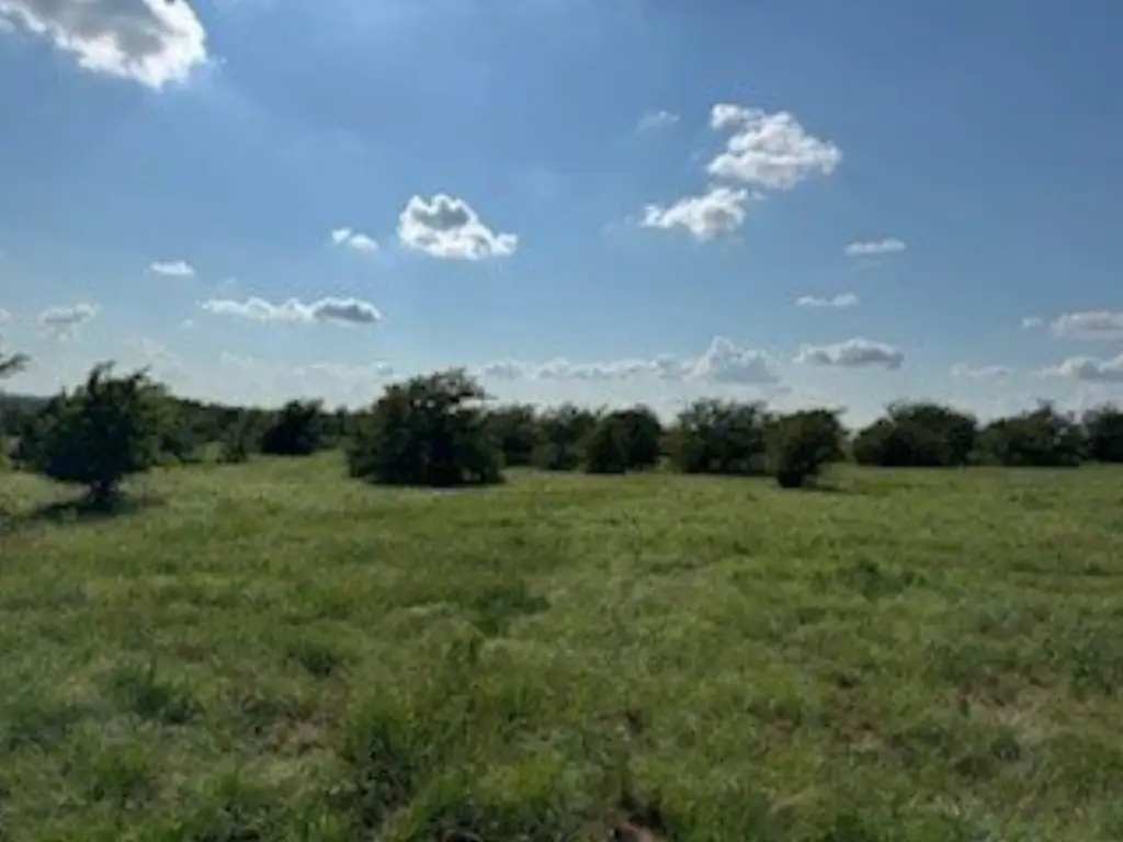 Picture 20