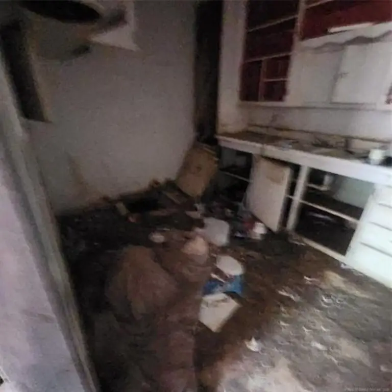 Picture 20