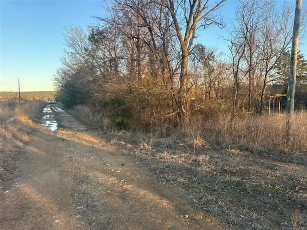 Picture 4