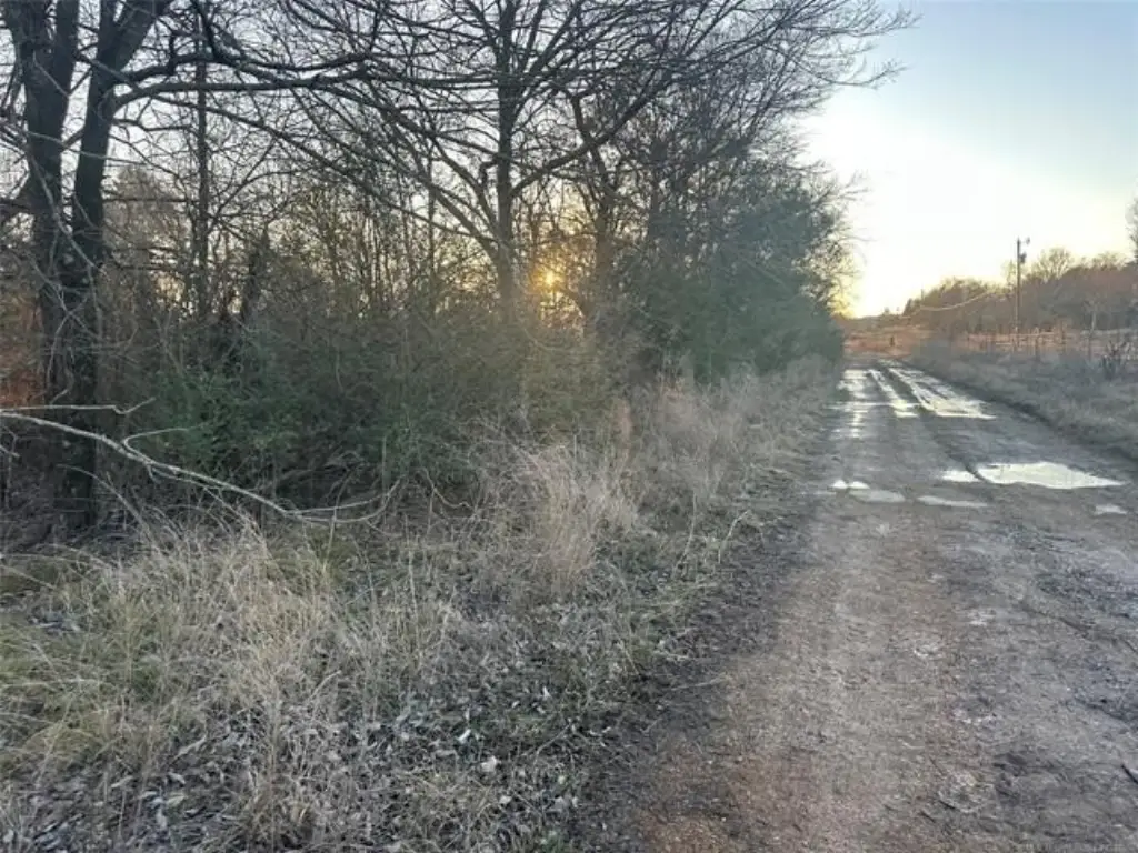 Picture 23