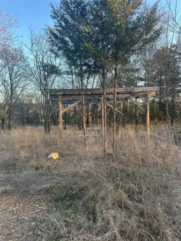 Picture 18