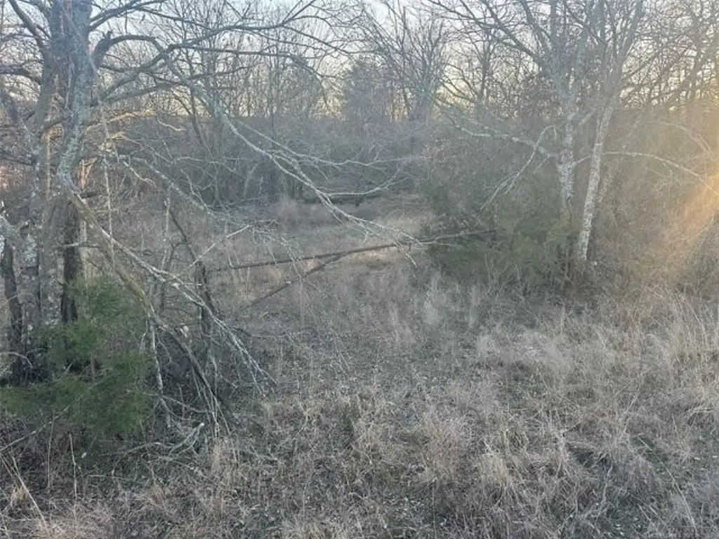 Picture 10