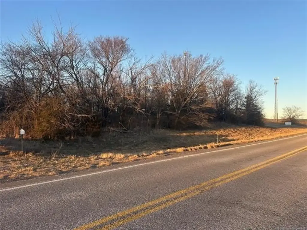 Picture 27