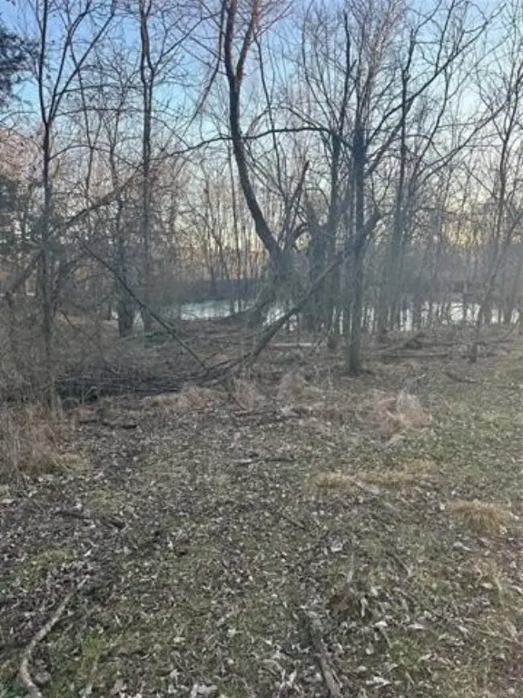 Picture 12
