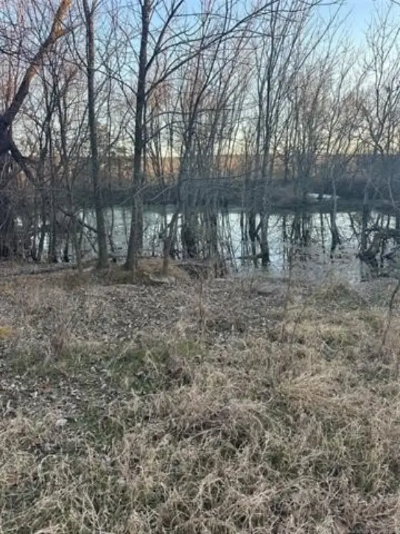Picture 13