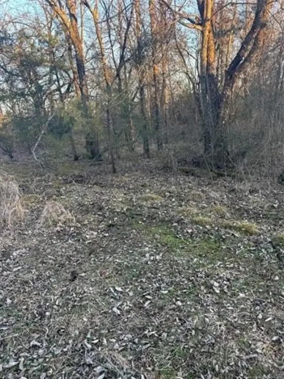 Picture 11