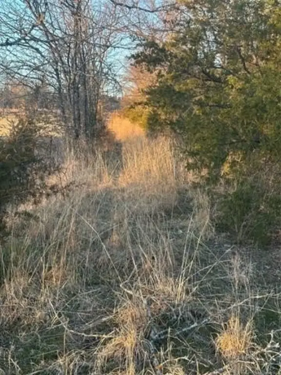 Picture 30
