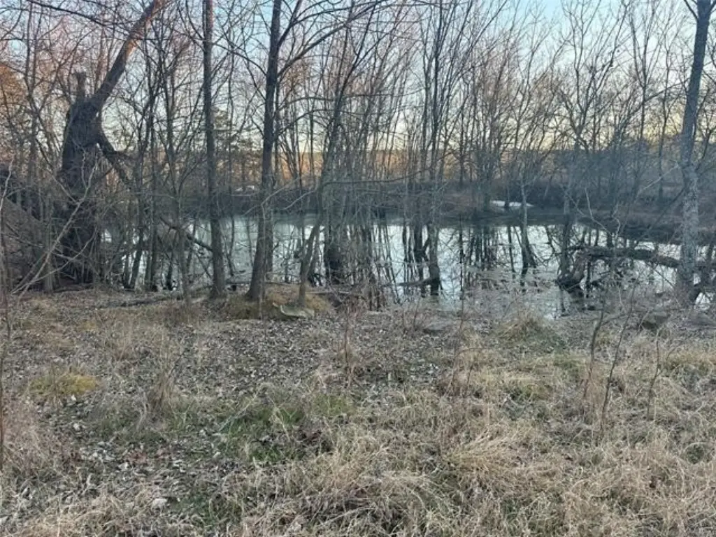 Picture 14