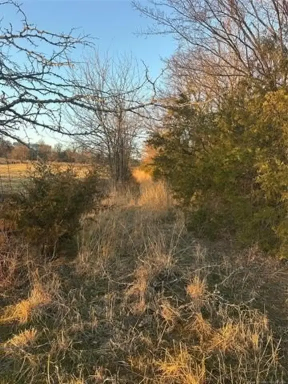 Picture 9