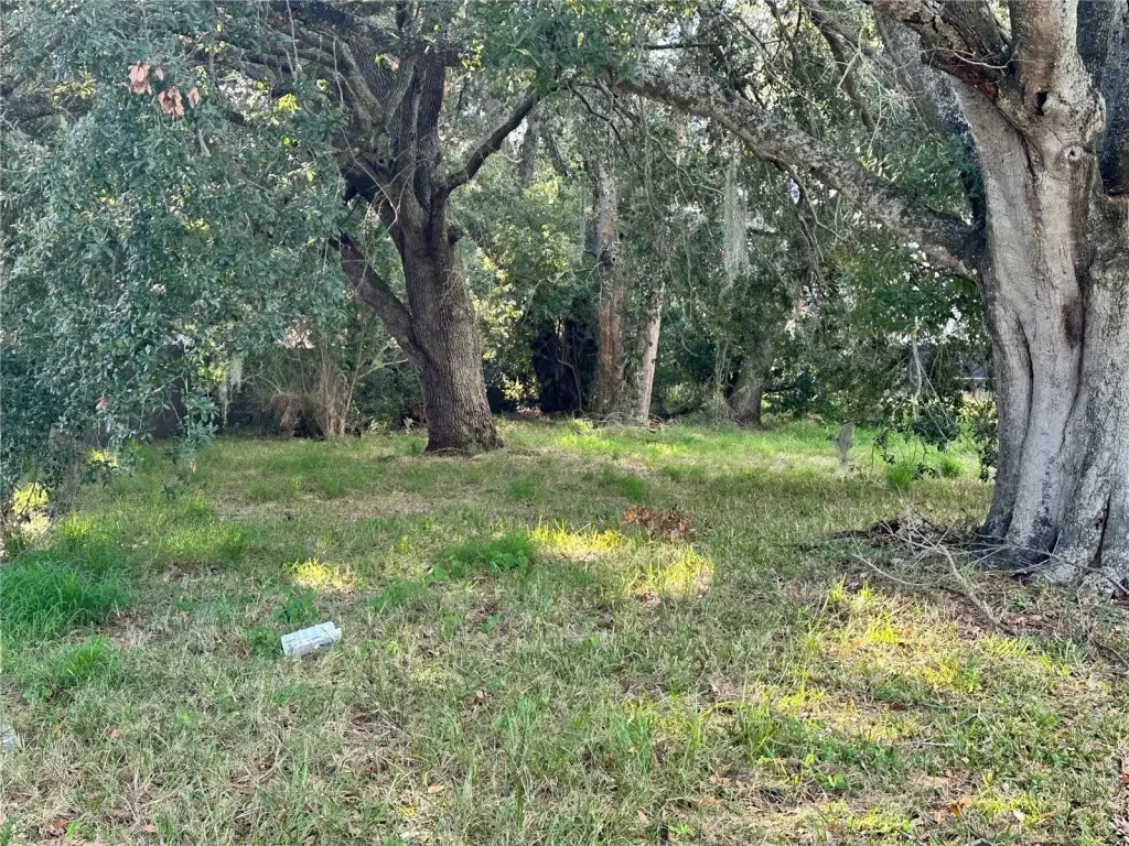 Picture 8