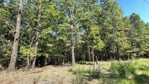 Residential Lot Near Illinois River
