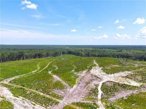 Hunting Land with Swamp