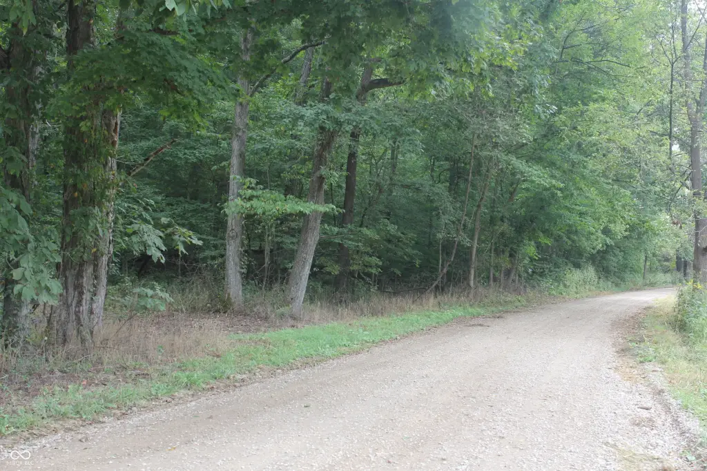 Picture 41